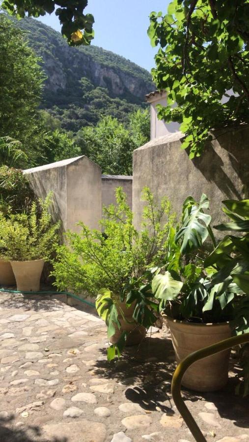 Casa Rural El Vihuelo El Bosque Exteriör bild