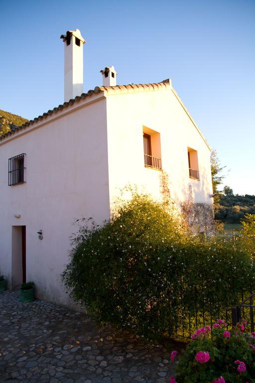 Casa Rural El Vihuelo El Bosque Exteriör bild