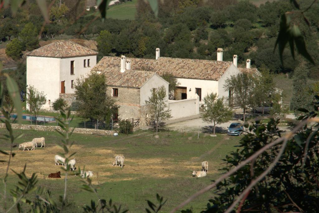 Casa Rural El Vihuelo El Bosque Exteriör bild